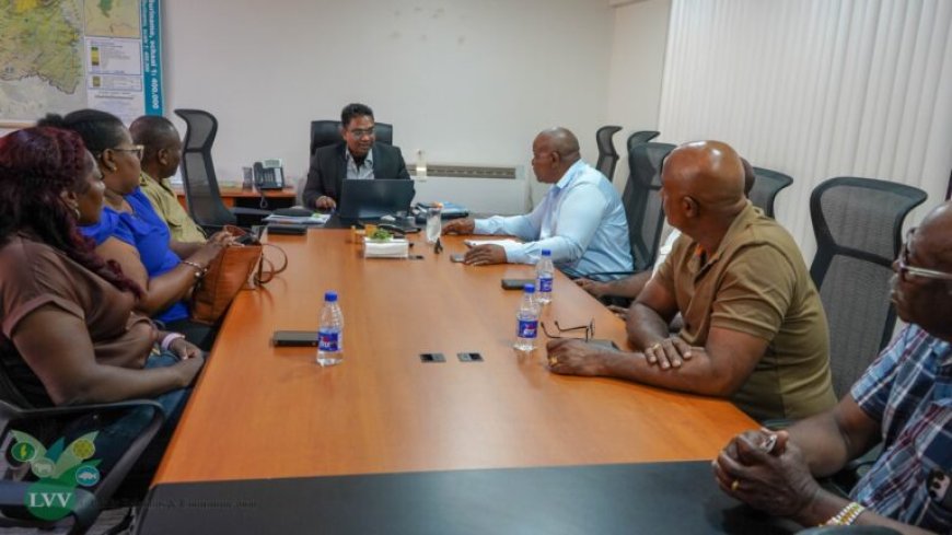 Para presenteert strategisch plan voor ananas, cassave en gember