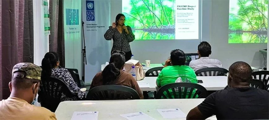 EU en UNDP starten mangroveproject in Nickerie: focus op bescherming