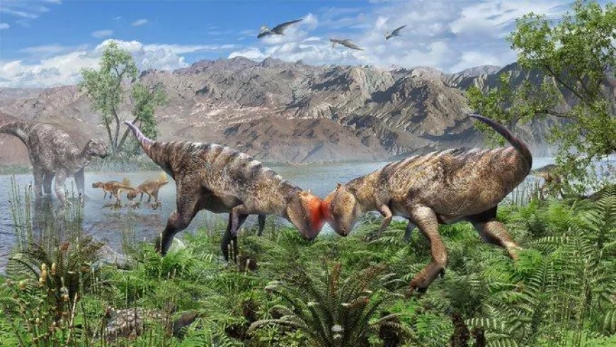 Oudste koepel-dinosaurus ontdekt in Mongolië