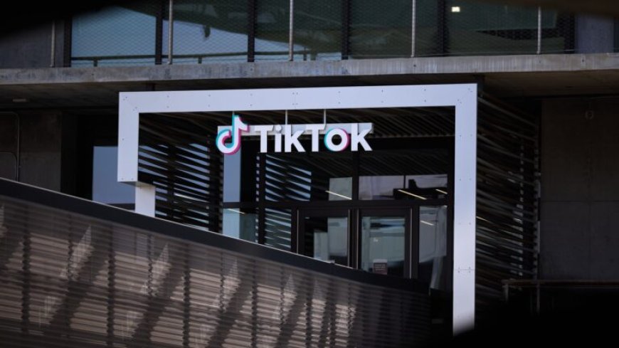 Witte Huis: Amerikaanse tak van TikTok krijgt vooral bestuurders uit VS