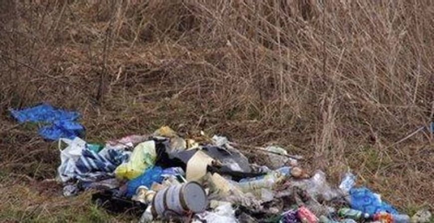 WIJ ZIJN DE VERNIETIGERS VAN ONS MILIEU