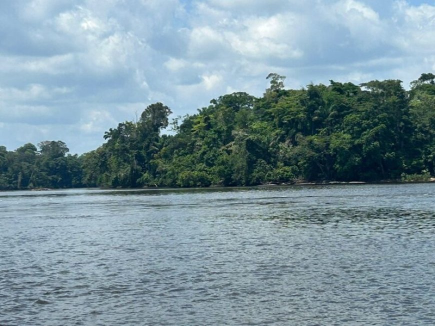Jongeman vermoedelijk verdronken in Boven-Surinamerivier