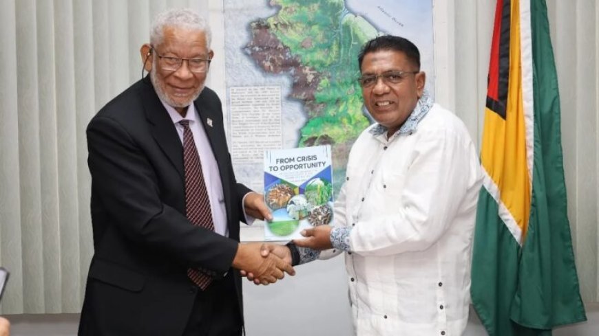 First gentleman Geerlings praat met Guyana over versterking landbouwsamenwerking