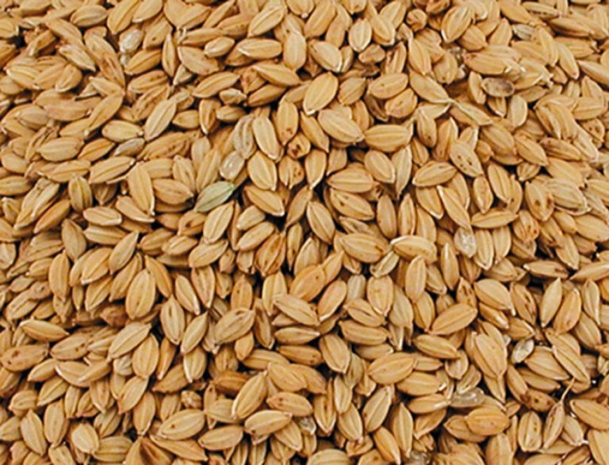 SPBA niet uitgenodigd voor gesprekken met LVV-minister