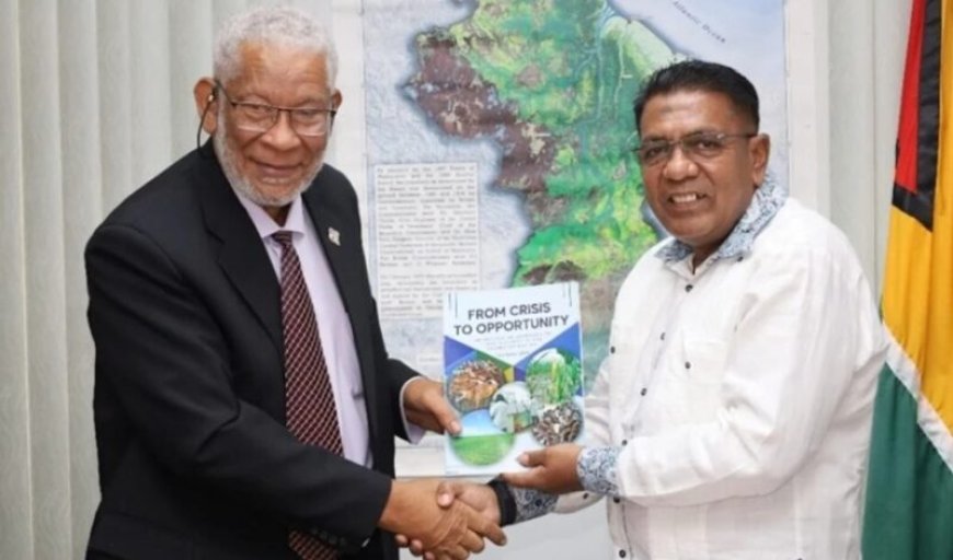 Kabinet president: Echtgenoot president Geerlings-Simons op uitnodiging Irfaan Ali in Guyana