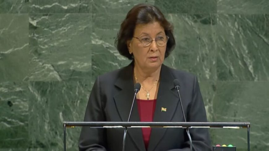 President Simons: Veiligheidsraad moet hervormd worden om wereldvrede te garanderen