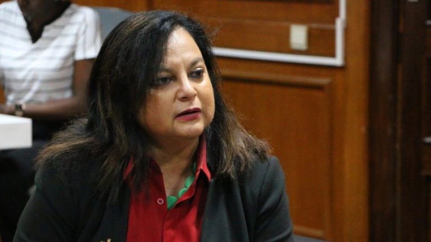 Del Castilho na twee maanden kabinet-Simons: “Geen reden om te zeggen dat het fout gaat”