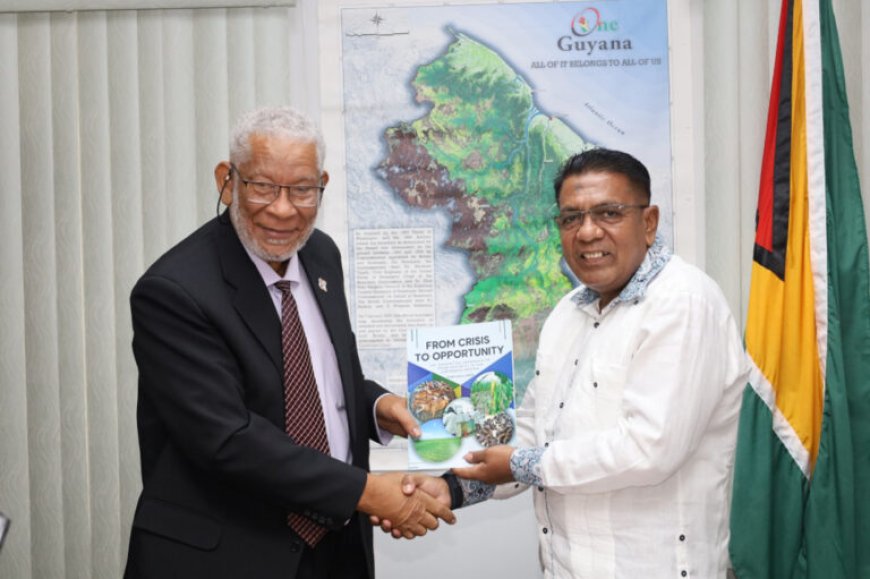 Glenn Geerlings op uitnodiging van president Ali in Guyana