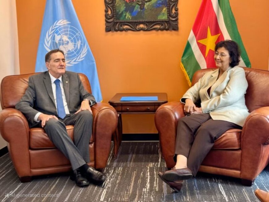 President Simons praat met Paho-topman over versterking samenwerking