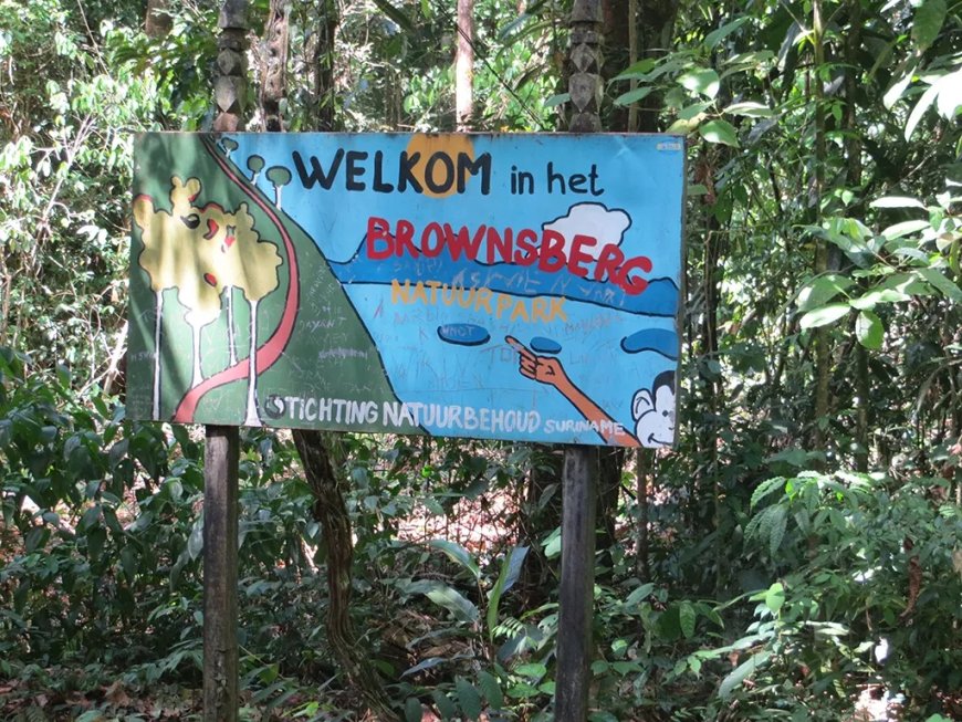 Brownsberg Natuurpark is geen beschermd natuurgebied meer