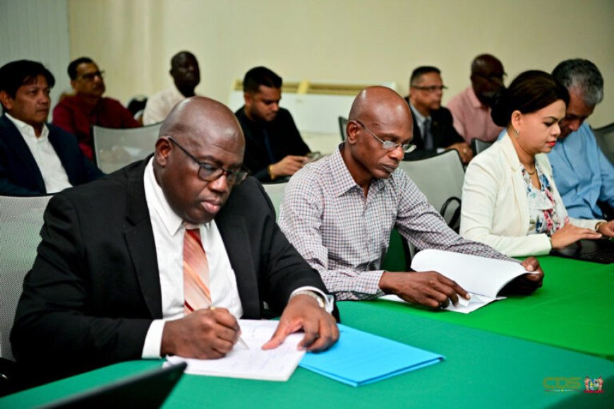 IDB-workshops bieden tools voor aanpak luchtvaartproblemen