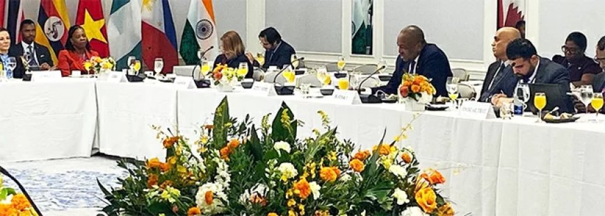 Minister Bouva pleit voor sterkere rol Global South