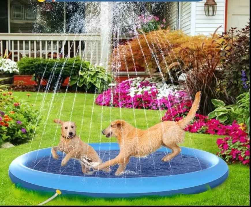 Ongekende hitte in Suriname treft mens én dier