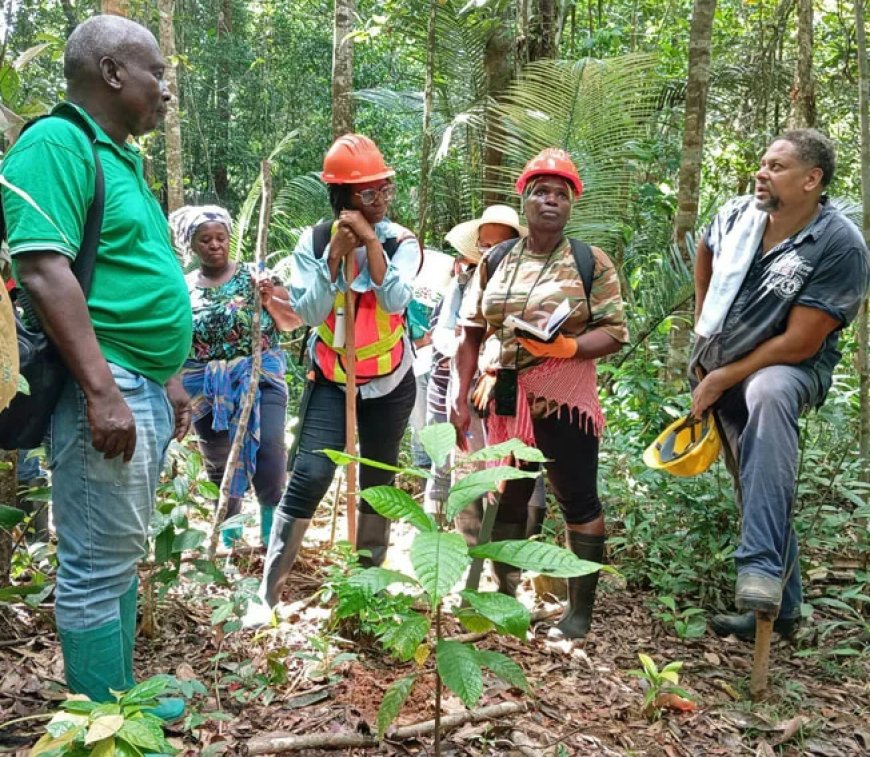 Nieuw leven voor eeuwenoude Surinaamse sector