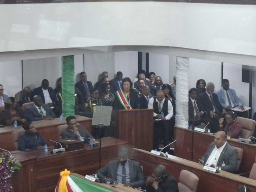 Jaarrede president Geerlings-Simons: Veel meer aandacht voor gezondheidssector