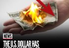 Amerikaanse dollar verliest bijna tien procent van zijn waarde in 2025