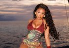 Megan Thee Stallion maakt zich op voor nieuwe single ‘Lover Girl’