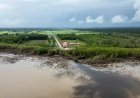 Suriname tussen regenwoud en ruwe olie: Kan het land beide behouden?