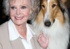 June Lockhart (100) overleden tv-icoon uit ‘Lassie’ en ‘Lost in Space’