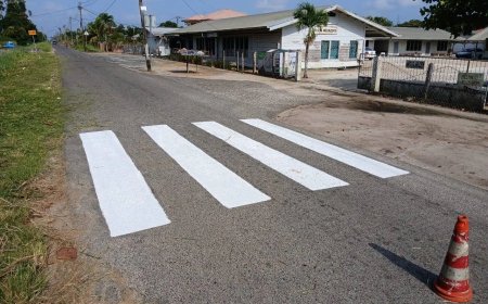Zebra’s beschermen kinderen – Verkeersveiligheid rond scholen moet prioriteit krijgen