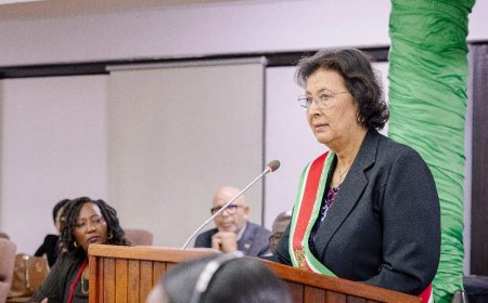 Beleid rond bescherming milieu en biodiversiteit onderbelicht in Jaarrede president Simons