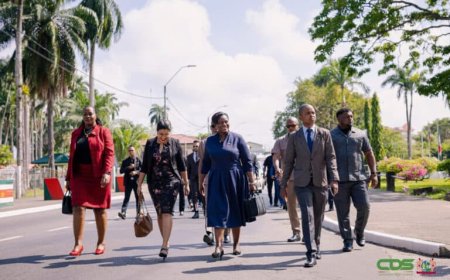 Versnelde ontwikkeling niet-mijnbouwsectoren moet economische weerbaarheid bieden