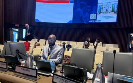 Suriname toegetreden tot Executive Board van de WHO