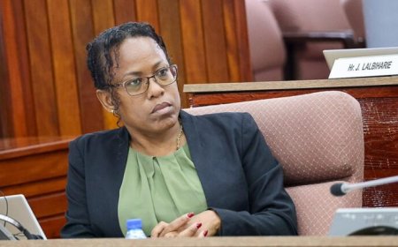 Cotino biedt excuses aan voor commotie rond vermeende racistische uitspraken