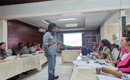 Gemiddeld 55 procent minder goudexport