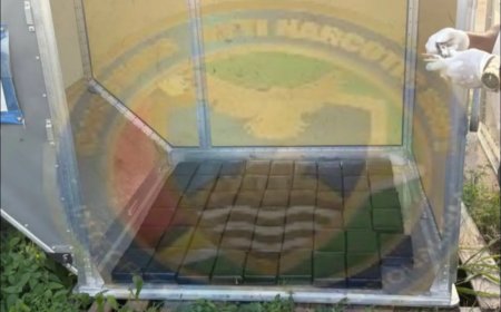 Op Cheddi Jagan luchthaven Guyana 63 kilo cocaïne onderschept bestemd voor KLM-vlucht