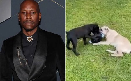 Politie-bevel tegen Tyrese na dodelijk incident met buurhond