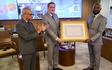 Oplevering CDB-energieproject Nickerie mijlpaal voor betrouwbare energie en nationale ontwikk