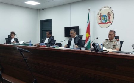 Hof breidt bestand uit naar 58 rechters en voert snelrecht in