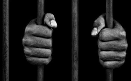 Politie houdt 8 personen aan in fraudezaak Melkcentrale