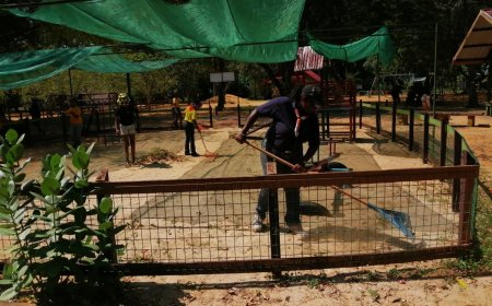 Jonge padvinders helpen met opruimen Paramaribo Zoo