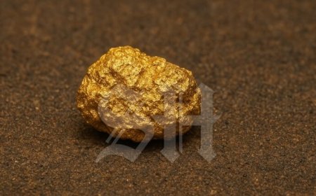 Hoofdverdachte spraakmakende goudroof Sunparklaan meldt zich bij politie