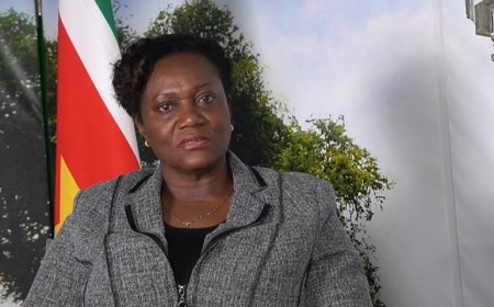 Schuldencrisis Suriname nog lang niet voorbij