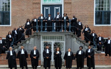 Tienduizenden rechtszaken versus tientallen rechters