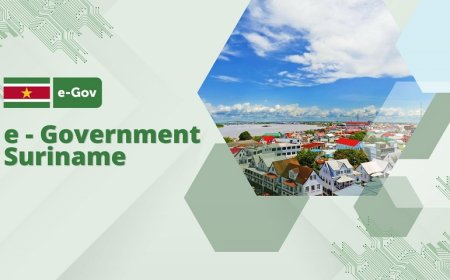 E-Gov in transitiefase: meer gebruikers én vertrouwen