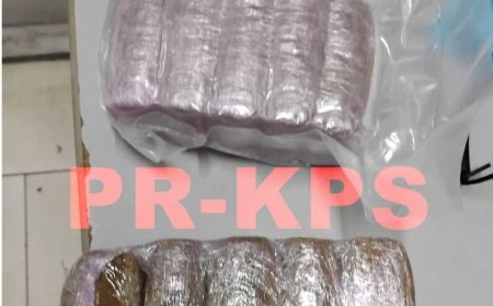 Twee mannen aangehouden voor drugsbezit bij oud Veerplein