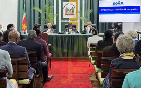 Deken Fraenk dringt aan op spoedige en deskundige benoeming Constitutioneel Hof