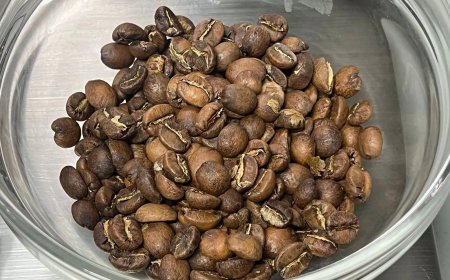 In Dubai kost duurste kopje koffie ter wereld bijna 700 dollar