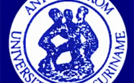 Onderwijs AdeKUS stilgelegd: Wetenschappelijk personeel in beraad