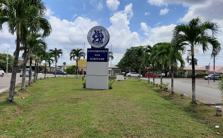 Wetenschappelijk personeel legt universiteit stil