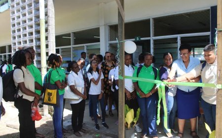 Agroponics plantenkas voor SPI