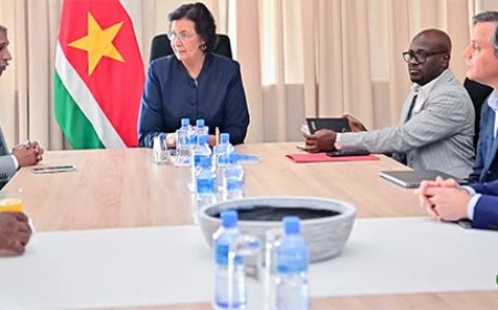 Deutsche Bank onderzoekt samenwerking met Suriname voor internationale klimaathandel