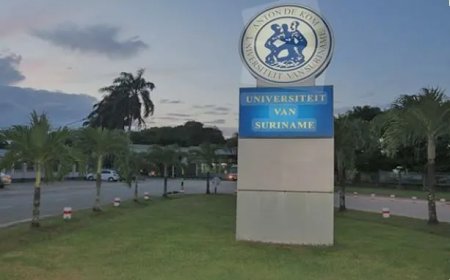 Wetenschappelijk personeel Universiteit legt werk neer