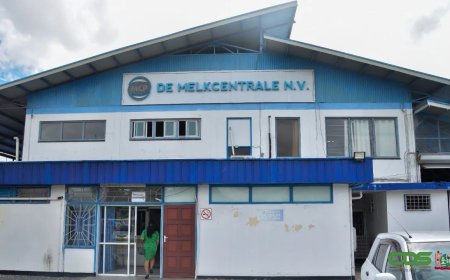 Diefstal poedermelk bij Melkcentrale roept vragen op