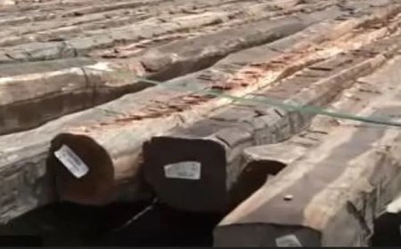 Grote partij houten palen EBS in beslag genomen door SBB 