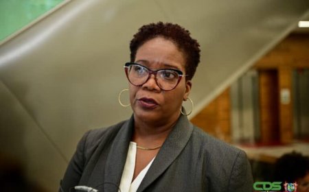 Wijnerman: ‘Gebrek aan capaciteiten bij belastingdienst’